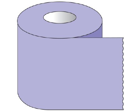 Shamrock Scientific Blank Label Tape Shamrock Multipurpose Label Violet Tape 1 X 500 Inch - Roll of 1 - ST-10-12-RL