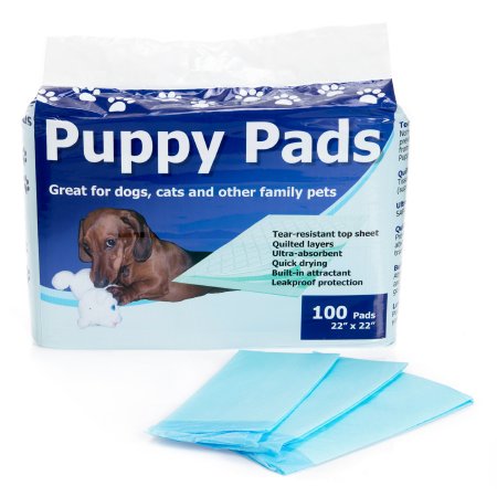 McKesson Medical Surgical Disposable Underpad for Pets Cypress 22 X 22 Inch Heavy Absorbency - Bag of 100 - TP2222B-BG