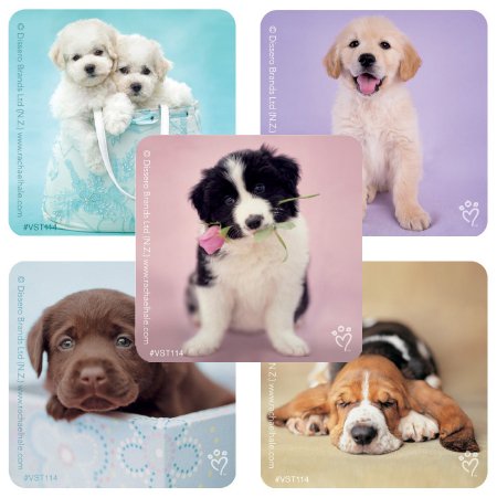 SmileMakers ValueStickers™ 250 per Unit Rachael Hale Dogs Sticker 1.625 Inch - Pack of 250 - VST114P-PK