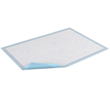 Essity HMS North America Inc Disposable Underpad TENA® Large 30 X 30 Inch Light Absorbency - Pack of 15 - 61320-PK