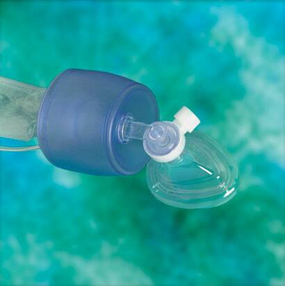 Teleflex LLC Resuscitator Bag Lifesaver® Without Mask - Case of 6 - 5371-CS