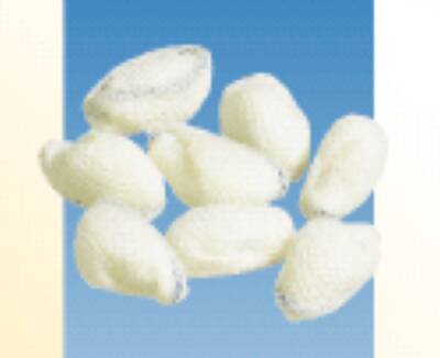 Dukal Surgical Peanut Sponge American® White Cross X-Ray Detectable Gauze 3/8 Inch Diameter 500 Count Pack NonSterile - Case of 500 - 10667-CS