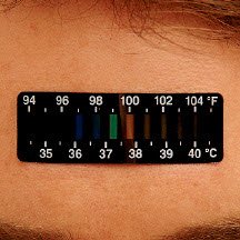 DeRoyal Single Patient Skin Thermometer LCD Sens°strip™ 35 to 40 °C Line Indicator Display - Case of 100 - 81-010003-CS