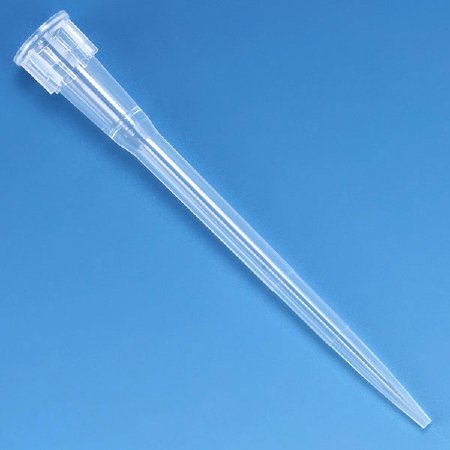 Globe Scientific Pipette Tip Globe Scientific 0.5 to 20 µL Without Graduations NonSterile - Case of 1000 - 151145-CS