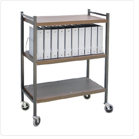 Omnimed Vertical Chart Rack Omnicart® Steel 43-3%XE2?%X844 H X 34-1%XE2?%X842 W X 17 D - Each - 260001-BG-EA