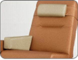 Champion Manufacturing Head / Lumbar Pillow Champion™ - Each - HPT09-EA