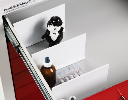 Health Care Logistics Magnetic Divider - Each - 12668-EA