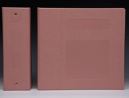 First Healthcare Products Binder Titan 3 Ring Mauve 575 Sheets Side Opening - Each - M10070R3-EA
