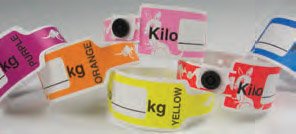 Precision Dynamics Identification Wristband KangaBand® Write On Band Permanent Snap Kilo (kg) - Box of 250 - KG470SPU-11-PDJ-BX
