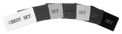 V. Mueller Container ID Tag Genesis™ Custom Write On Blue 1/2 X 1-3/4 Inch Standard Plastic - Each - TC2-2-EA