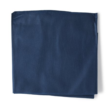 Graham Medical Products Stretcher Sheet Flat Sheet 40 X 84 Inch Blue Nonwoven Fabric Disposable - Case of 50 - 65232-CS