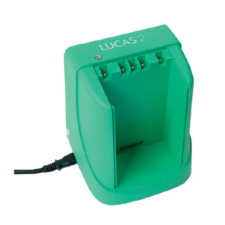 The Palm Tree Group Diagnostic Battery Charger For LUCAS™2 /3 Chest Compression System - Each - 11576-000060-EA