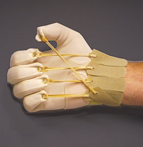 Alimed Flexion Glove Alimed® - Each - 2970002495-EA
