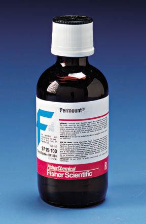 Fisher Scientific Mounting Medium Permount™ Liquid - Each - SP15100-EA