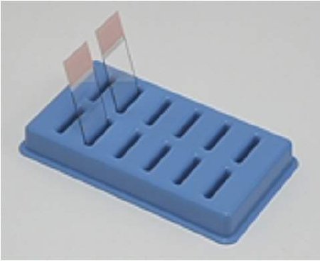 Fisher Scientific Slide Holder 6-5/8 X 3-7/8 X 7/8 Inch, Blue, Polypropylene For Drying / Draining Slides - Each - 22038396-EA