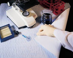 Fisher Scientific Absorbent Underpad Fisherbrand™ For Laboratory Benchtop - Pack of 50 - 1420662-PK