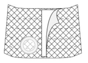 Nu-Hope Laboratories Hernia Belt Nu-Form™ 2X-Large 9 Inch Width - Each - 6469-C-EA
