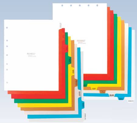 Omnimed Chart Divider - Each - 220914-EA