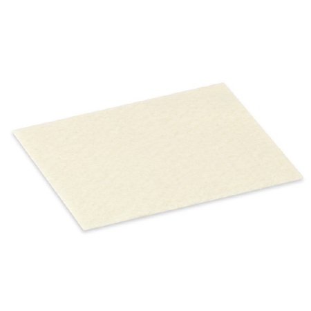 Hollister Alginate Dressing CalciCare 2 X 2 Inch Square - Box of 10 - 529938R-BX