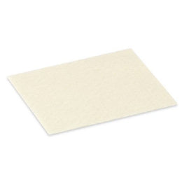 Hollister Alginate Dressing CalciCare 2 X 2 Inch Square - Box of 10 - 529938R-BX
