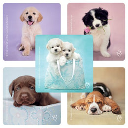 SmileMakers SmileMakers® 100 per Unit Rachael Hale Dogs Sticker 2.5 Inch - Box of 100 - ST237R-BX