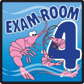 Clinton Industries Door Sign Room Sign Clinton™ Exam Room 4 - Each - EXO-4-EA