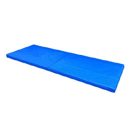 Proactive Medical Products LLC Protekt™ Fall Mat Foam / Vinyl 24 X 66 X 2 Inch - Each - 51003-EA