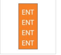 Steris Pre-Printed Label Key Surgical® Multipurpose Label Orange Paper ENT White Diagram / Symbol 8-1/2 X 11 Inch - Each - T60407-EA