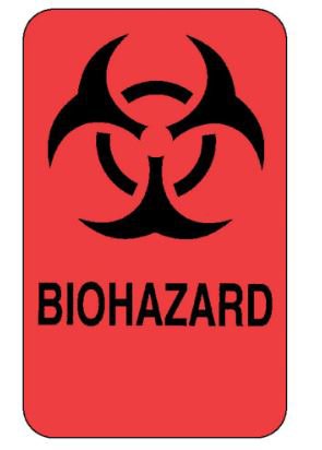 Fisher Scientific Pre-Printed Label Fisherbrand™ Warning Label Flourescent Red Paper Biohazard / Symbol Black Biohazard 2 X 3 Inch - Pack of 320 - 18999934-PK