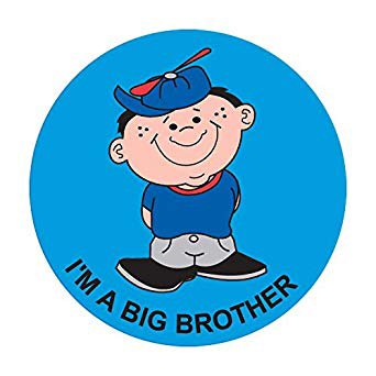 Precision Dynamics pdc® 250 per Unit I'm A Big Brother Sticker - Roll of 1 - 59707288-RL