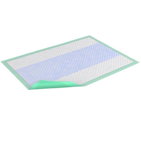 Essity HMS North America Inc Disposable Underpad TENA® Premium 29-1/2 X 29-1/2 Inch Polymer Light Absorbency - Bag of 15 - 61312-BG