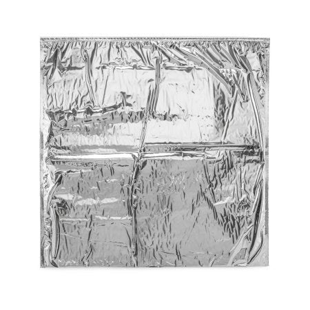 Coldkeepers LLC Mailing Pouch Kold-To-Go 19 X 19 Inch For Temperature Control of Food Distribution, Drugs, Insulin, Vaccines, Specimens - Case of 200 - KG-1919-PL00UZ-252H-CS