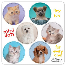 SmileMakers SmileMakers® 100 per Unit Rachael Hale Mini Dot Sticker 2.5 Inch - Roll of 1 - ST1054R-RL