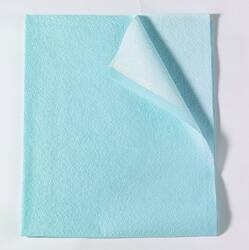Tidi Products Stretcher Sheet Tidi® Everyday Flat Sheet 30 W X 48 L Inch Blue Tissue / Poly / Polyethylene Film Disposable - Case of 100 - 918213-CS