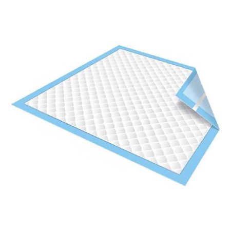 Secure Personal Care Products Disposable Underpad TotalDry™ 23 X 26 Inch Super Absorbent Polymer Moderate Absorbency - Case of 90 - SR13690-CS