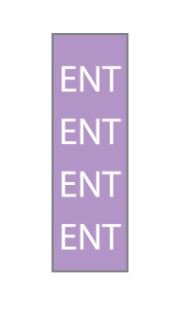 Steris Pre-Printed Label Key Surgical Multipurpose Label Purple ENT White Pattern 1/4 Inch - Each - T60415-EA