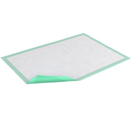 Essity HMS North America Inc Disposable Underpad TENA® Premium 30 X 30 Inch Super Absorbent Polymer Light Absorbency - Case of 75 - 61322-CS