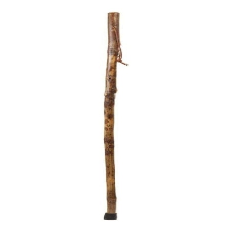 Mabis Healthcare Walking Stick Brazos™ Free Form Photographer Wood 58 Inch Height Hickory - Each - 602-3000-1133-EA