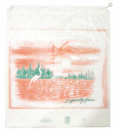 Donovan Industries Patient Belongings Bag 18 X 20-1/2 Inch Polyethylene Drawstring Closure White - Case of 500 - DS500-CS