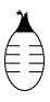 J & J Healthcare Systems Bulb Evacuator Drainage J-Vac® 100 mL - Case of 10 - 2160-CS