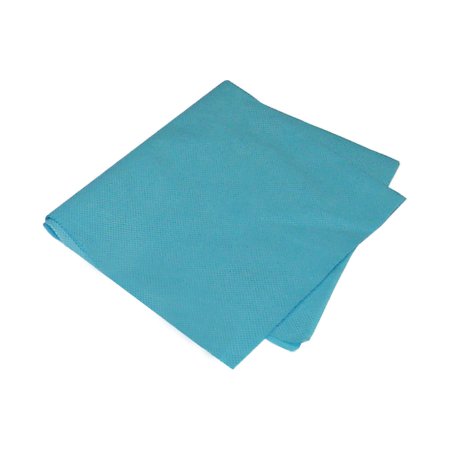 Aspen Surgical Products Scale Liner Paper 13 Inch Width Blue Smooth - Case of 1000 - 5431-CS