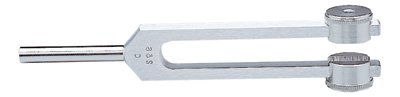 Graham-Field Tuning Fork with Weight Aluminum Alloy 256 cps - Each - 1315-EA