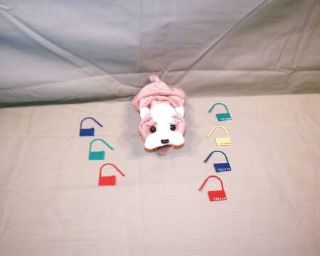 Healthmark Industries Tamper Evident Seal Snap-Loks Numbered Red Plastic 3/4 Inch - Pack of 100 - 8050 RD-PK