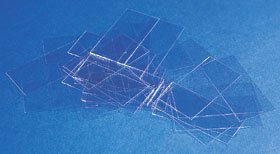 Erie Scientific Cover Glass Rectangle No. 2 Thickness 24 X 50 mm - Box of 10 - 24X50-2-001G-BX