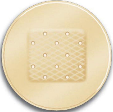 ASO Corp Adhesive Spot Bandage Careband™ 7/8 Inch Plastic Round Sheer Sterile - Case of 1200 - CBD2022-012-000-CS
