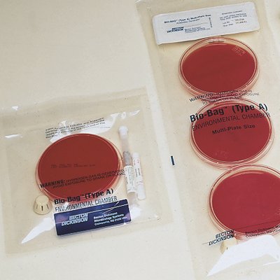 BD Environmental Chamber Bag Bio-Bag™ Translucent, Includes CO2 Gas Generators, Resealable Medias - CT/50 - 261510-CT