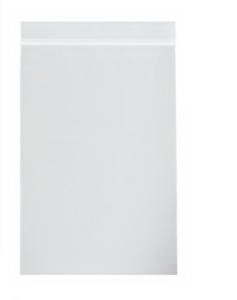 RD Plastics Company Reclosable Bag 6 X 6 Inch Plastic Clear Zipper Closure - Case of 1000 - C19-CS