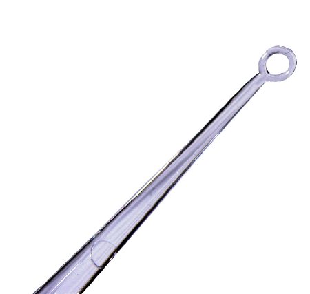 Bionix Ear Curette Pack AngleLoop® Round Handle 4 mm Tip Angled Blunt Round Loop Tip - Box of 50 - 2210-BX