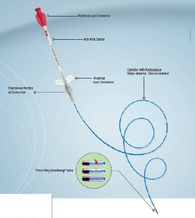 BD Central Venous Catheter Tray Groshong® Nxt Clearvue® 4 Fr. Single Lumen - Case of 5 - 7617400-CS