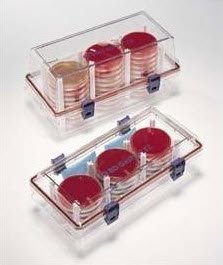 BD EZ CO2 Container System Sachet GasPak™ For EZ Container System - Pack of 20 - 260679-PK